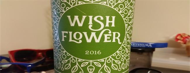wish flower white 2016