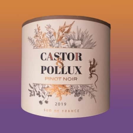 Castor and Pollux Pinot Noir 2019