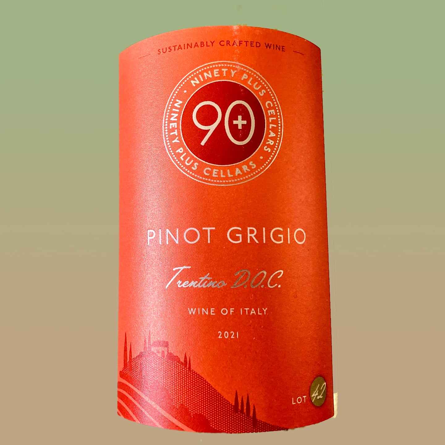 90+ Cellars Pinot Grigio 2021 Lot #42